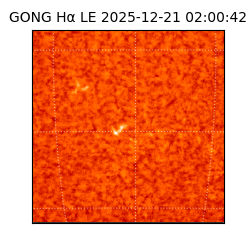 gong - 2025-12-21T02:00:42