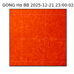 gong - 2025-12-21T23:00:02
