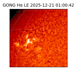 gong - 2025-12-21T01:00:42