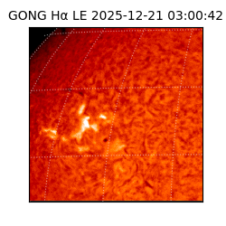 gong - 2025-12-21T03:00:42