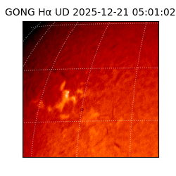 gong - 2025-12-21T05:01:02
