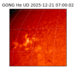 gong - 2025-12-21T07:00:02