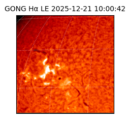 gong - 2025-12-21T10:00:42
