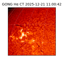 gong - 2025-12-21T11:00:42