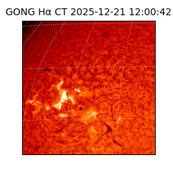 gong - 2025-12-21T12:00:42
