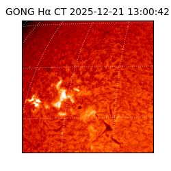gong - 2025-12-21T13:00:42