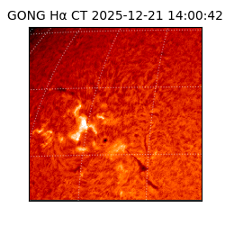 gong - 2025-12-21T14:00:42