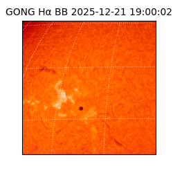 gong - 2025-12-21T19:00:02