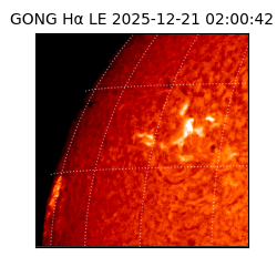 gong - 2025-12-21T02:00:42