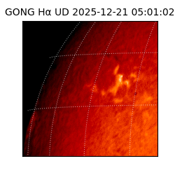 gong - 2025-12-21T05:01:02
