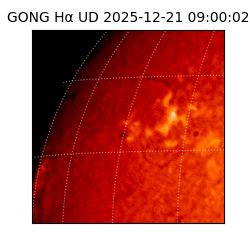 gong - 2025-12-21T09:00:02
