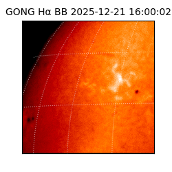 gong - 2025-12-21T16:00:02