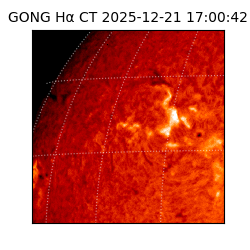 gong - 2025-12-21T17:00:42