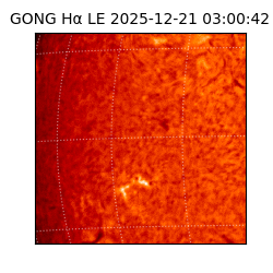 gong - 2025-12-21T03:00:42