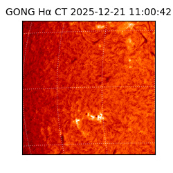 gong - 2025-12-21T11:00:42
