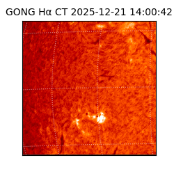 gong - 2025-12-21T14:00:42