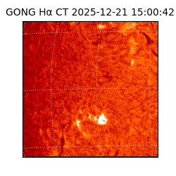 gong - 2025-12-21T15:00:42