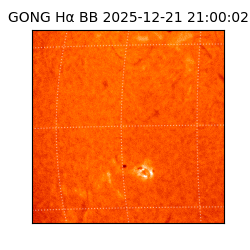 gong - 2025-12-21T21:00:02