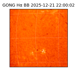 gong - 2025-12-21T22:00:02