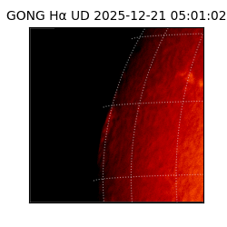 gong - 2025-12-21T05:01:02