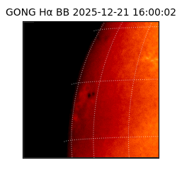 gong - 2025-12-21T16:00:02