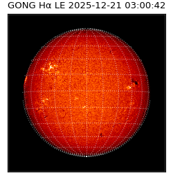 gong - 2025-12-21T03:00:42