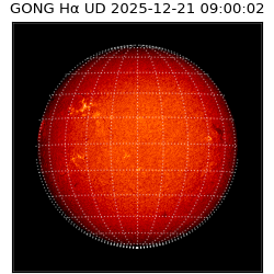 gong - 2025-12-21T09:00:02