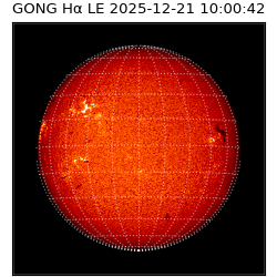 gong - 2025-12-21T10:00:42