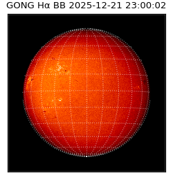 gong - 2025-12-21T23:00:02