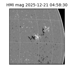 shmi - 2025-12-21T04:58:30