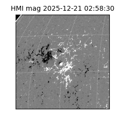 shmi - 2025-12-21T02:58:30