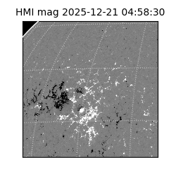shmi - 2025-12-21T04:58:30