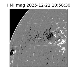 shmi - 2025-12-21T10:58:30