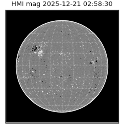 shmi - 2025-12-21T02:58:30