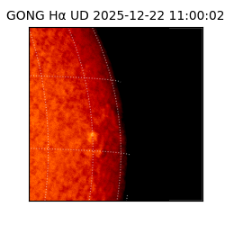 gong - 2025-12-22T11:00:02