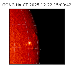 gong - 2025-12-22T15:00:42