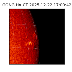 gong - 2025-12-22T17:00:42