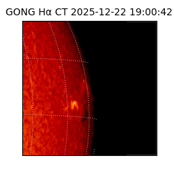 gong - 2025-12-22T19:00:42