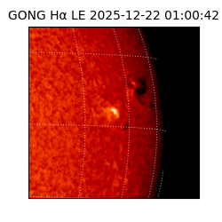 gong - 2025-12-22T01:00:42