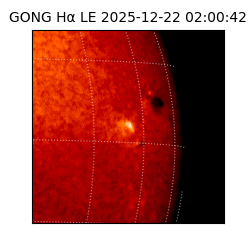 gong - 2025-12-22T02:00:42