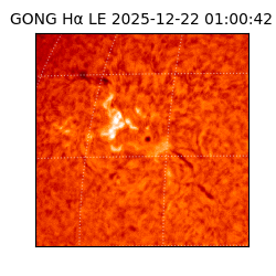 gong - 2025-12-22T01:00:42