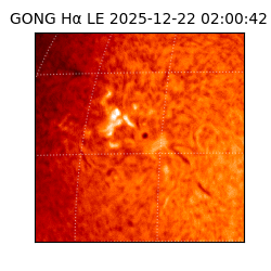 gong - 2025-12-22T02:00:42