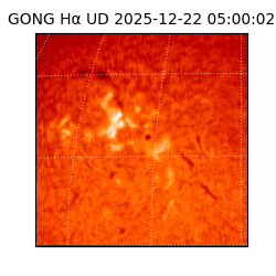 gong - 2025-12-22T05:00:02