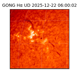 gong - 2025-12-22T06:00:02