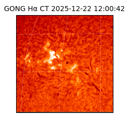 gong - 2025-12-22T12:00:42