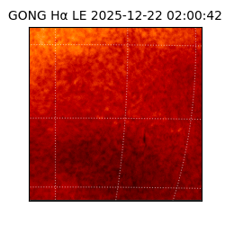gong - 2025-12-22T02:00:42