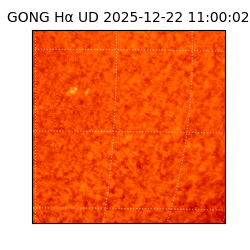 gong - 2025-12-22T11:00:02