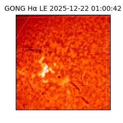 gong - 2025-12-22T01:00:42