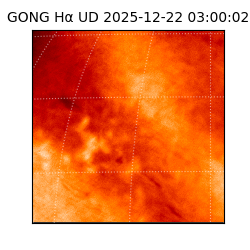 gong - 2025-12-22T03:00:02
