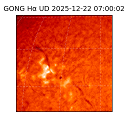 gong - 2025-12-22T07:00:02